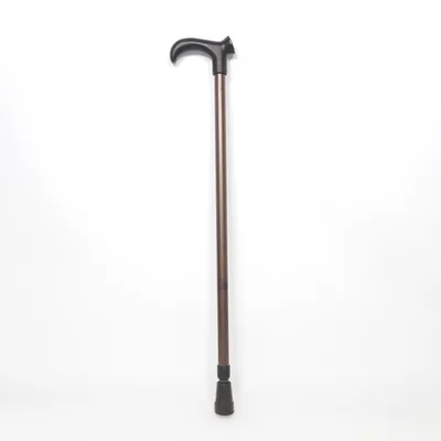 Cane (Gehstock )