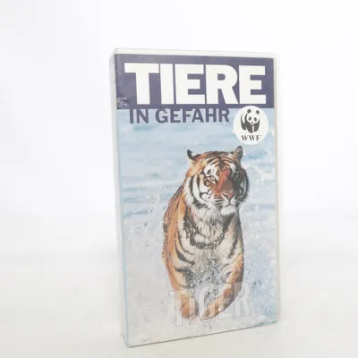 Cassette audio (Bleu, Multicolore) de WWF
