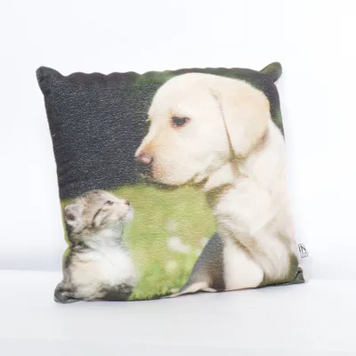Coussin décoratif (Multicolore) de In Home