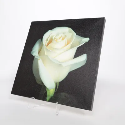 Schilderij