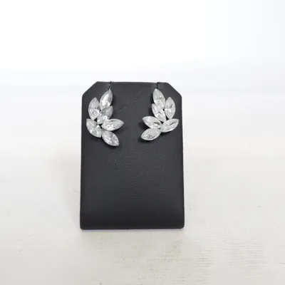 Örhängen (Silverfärgad) Okänd metall