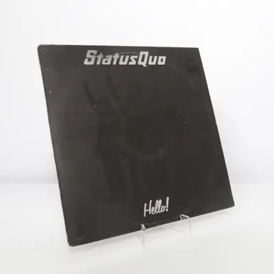 Vinyl record