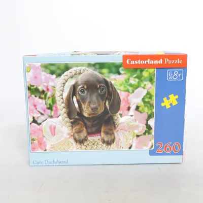 Pussel från Castorland Puzzle