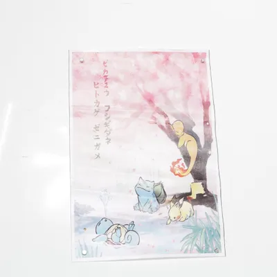 Poster från Pokémon