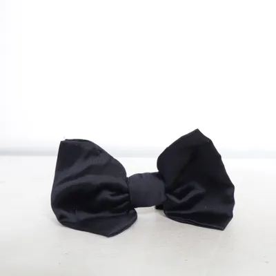 Fluga (Svart) från Lanvin x H&M Silke