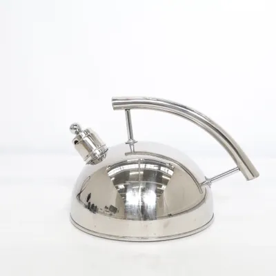 Kettle (Silver) from Satake