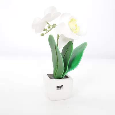Artificial plant (White, Multicolored) from DAY Useful Everyday