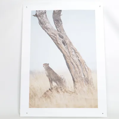 Poster from Desenio
