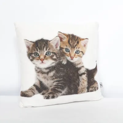 Cushion (White, Brown) from In Home