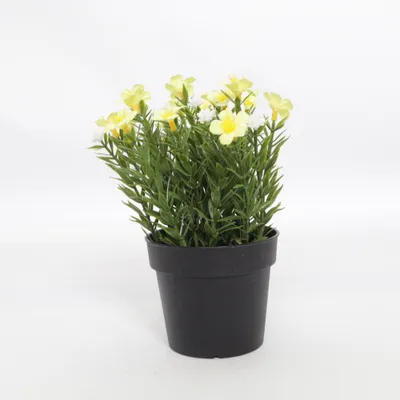Plante artificielle (Jaune, Vert, Noir) de FSC