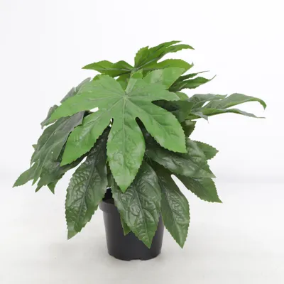 Plante artificielle (Vert)