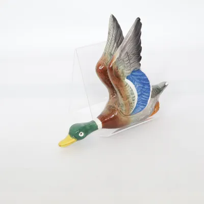Home decoration (Multicolored)