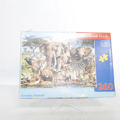 Puzzel van Castorland Puzzle