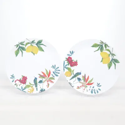 Plate (White, Multicolored) from ICA