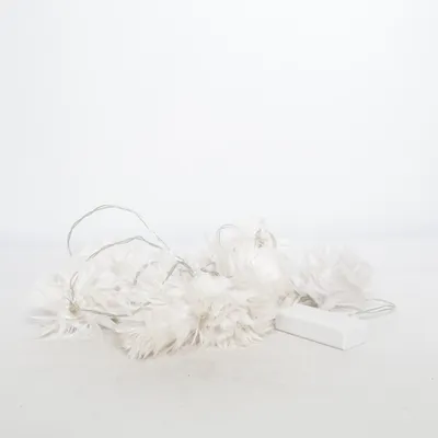 Guirlande lumineuse (Blanc)