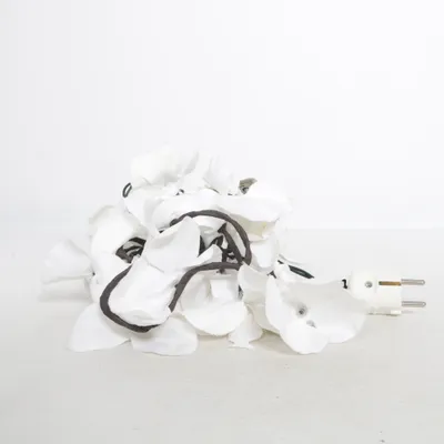 Guirlande lumineuse (Blanc) de Rexinter