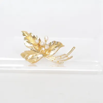 Broche (Wit, Goud) Onbekend materiaal