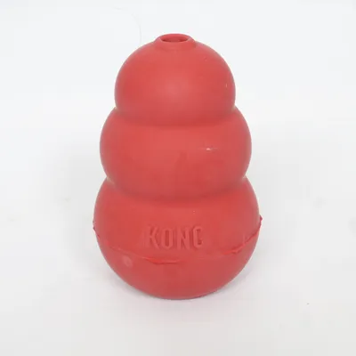 Dog toy from Kong