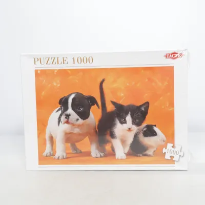 Puzzle from Tactic
