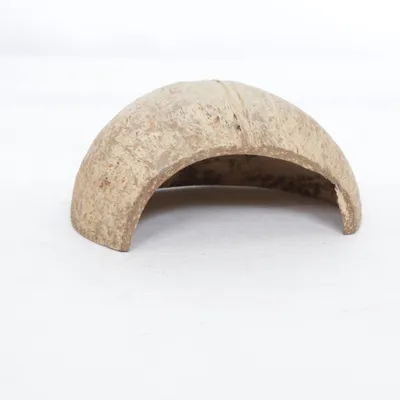 Accessoire pour animaux de compagnie (Marron)