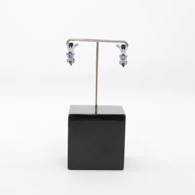 Oorbellen (Zilver, Blauw) Onbekend materiaal