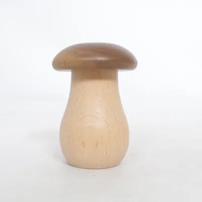 Saltbøsse (Brun, Beige)
