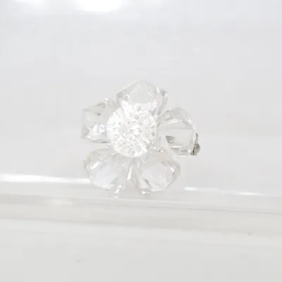 Broche (Zilver, Transparant) Onbekend materiaal