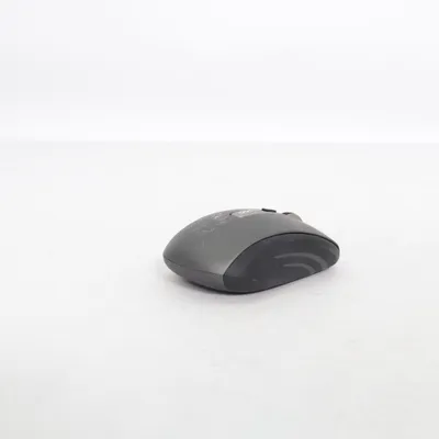 Computer mouse (Black) from Rapoo