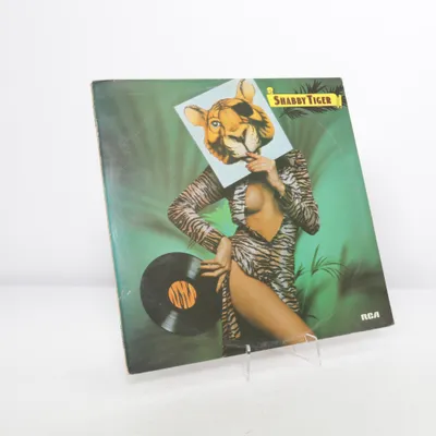 Vinylskiva