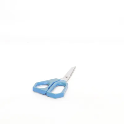 Schaar (Blauw) van Rostfrei