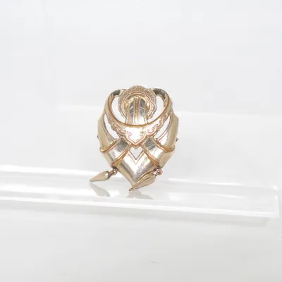 Broche (Goud) Onbekend materiaal