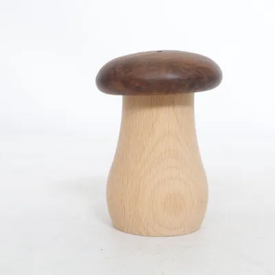 Salt shaker (Brown, Beige)