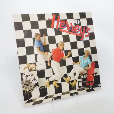 Vinylskiva