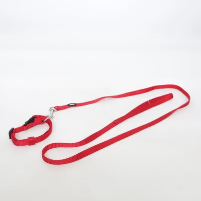 Leash (Red) from Nobby