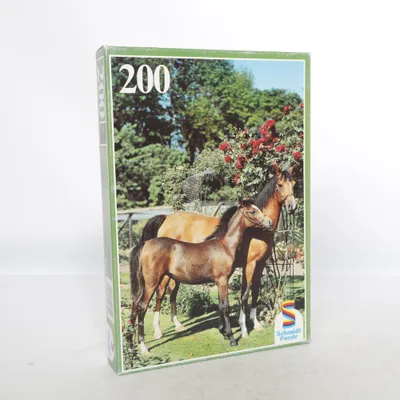 Puzzle from Schmidt Puzzle