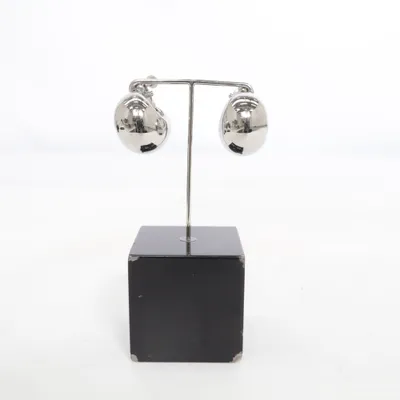 Earrings (Silver) Stainless steel