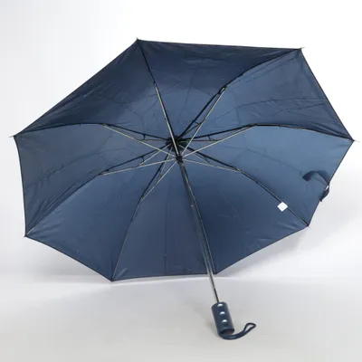 Umbrella (Black) from Totes