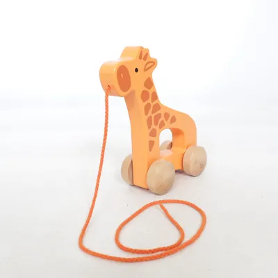 Træklegetøj (Orange) fra Hape
