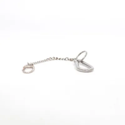 Chaîne à pantalon (Argent)