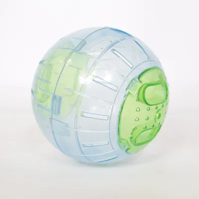 Accessoire pour animaux de compagnie (Bleu, Vert)