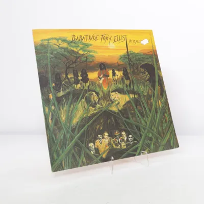 Vinyl record