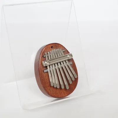 Instrument (Bruin)