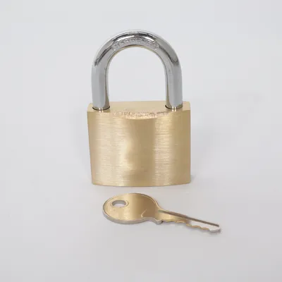 Hangslot (Zilver, Goud)