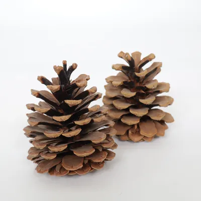 Christmas decoration (Brown)
