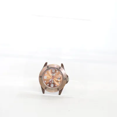 Polshorloge (Bruin) van Ice Watch