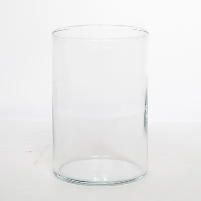 Vase (Transparent)