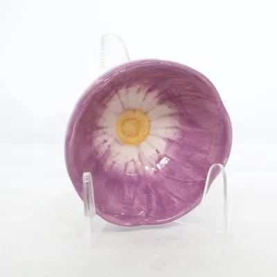 Bowl (Purple, Yellow) from Life Style
