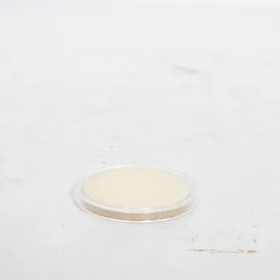Coin (Gold)