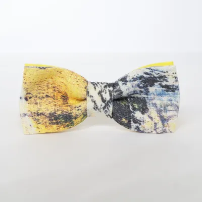 Bow tie (Yellow, Multicolored)