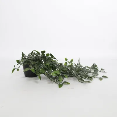 Plante artificielle (Fejka) de IKEA